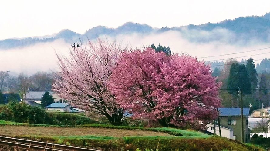 春は美味しいコトだらけ！