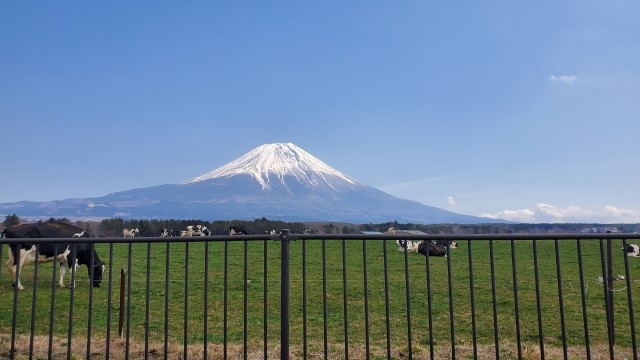 Vol.4 土用は丑の日